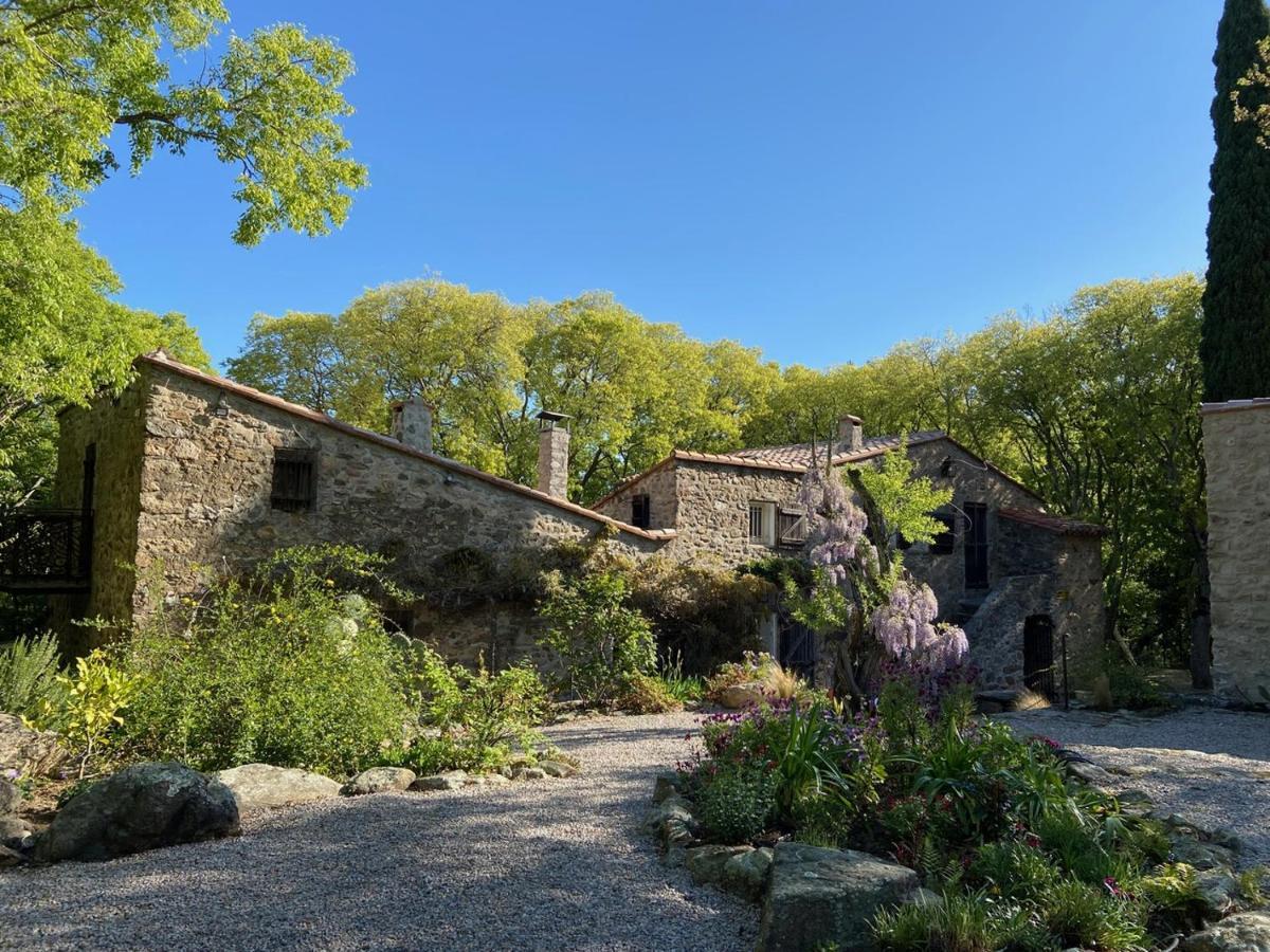 Sorède Mas Del Ca Adult Only Bed & Breakfast エクステリア 写真